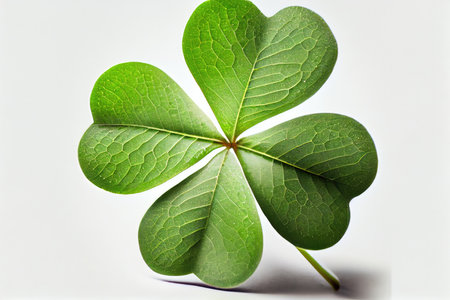 close-up of four-leaf green clover with white background, created with generative aiの素材