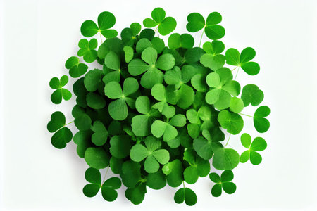 large number of four-leaf green clover isolated on white background, created with generative aiの素材