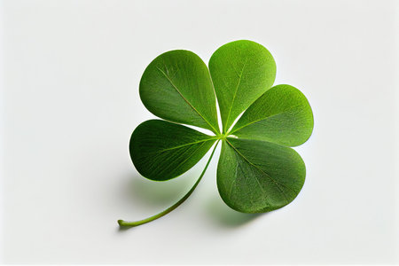 single four-leaf green clover with white background, created with generative aiの素材