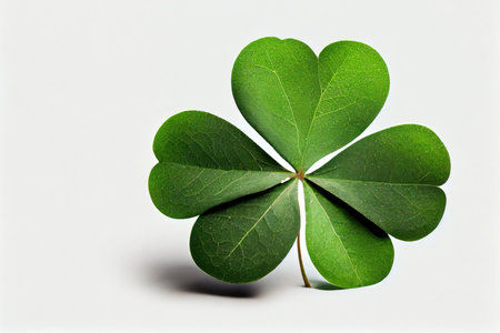four-leaf green clover isolated on white background, created with generative aiの素材
