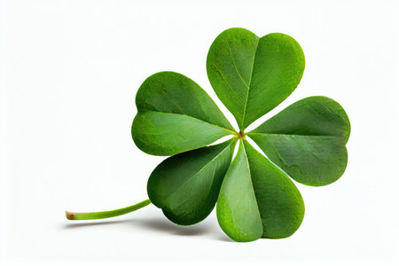small round four-leaf green clover isolated on white background, created with generative aiの素材