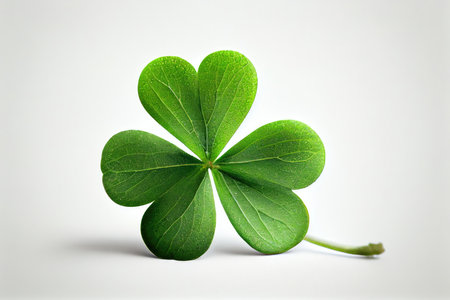 small four-leaf green clover isolated on white background, created with generative aiの素材