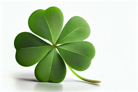 small four-leaf green clover isolated on white background, created with generative aiの素材