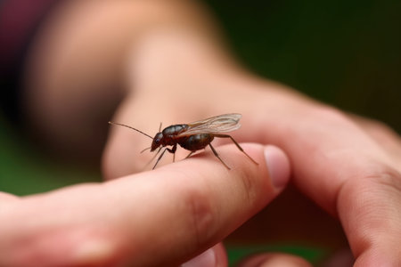 cropped shot of a man getting an insect bite treated, created with generative aiの素材