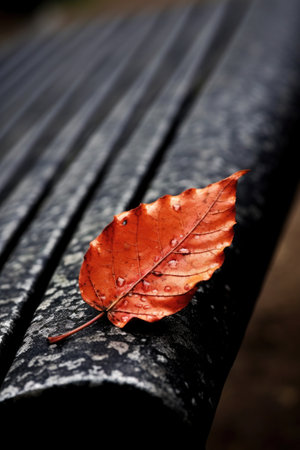 close-up of a single red autumn leaf on a bench, created with generative aiの素材