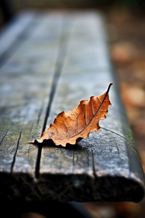 close-up of a single fallen leaf on a wooden bench, created with generative aiの素材