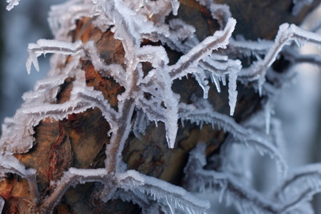 ice-encrusted tree trunk close-up, created with generative aiの素材