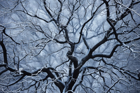 frosty tree branches creating intricate patterns, created with generative aiの素材