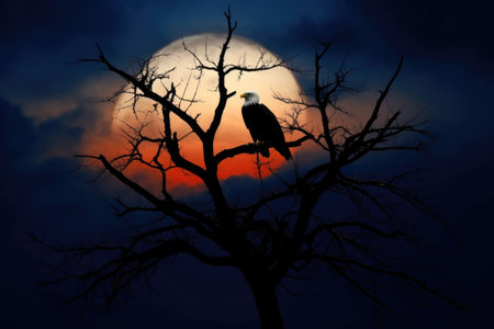 bald eagle silhouetted against a full moon at night, created with generative aiの素材