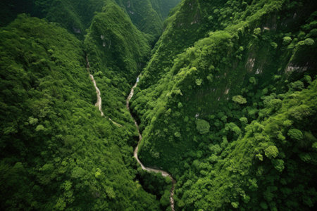 aerial view of steep mountain path through forest, created with generative aiの素材