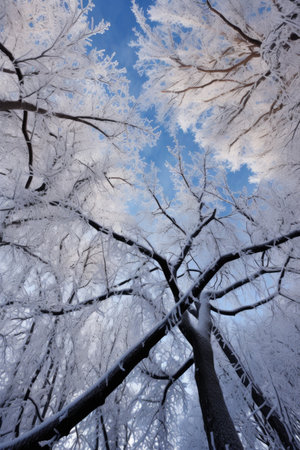 snow-covered tree branches against a blue sky, created with generative aiの素材