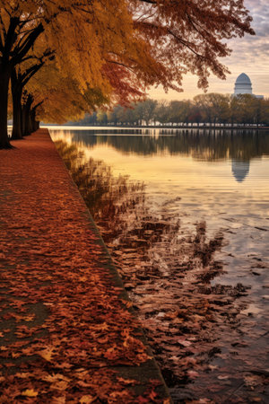 panoramic view of the tidal basin in autumn, created with generative aiの素材