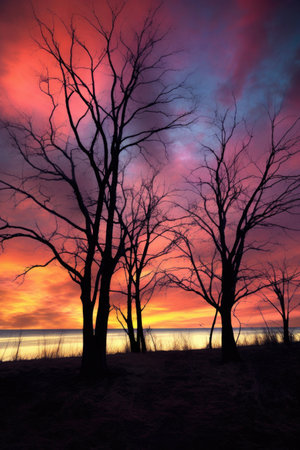 tree silhouettes against a colorful, dramatic sky, created with generative aiの素材