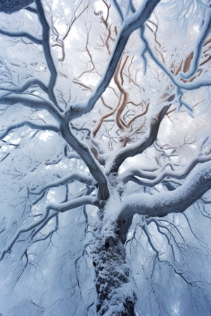 tree branches covered in winter frost or snow, created with generative aiの素材