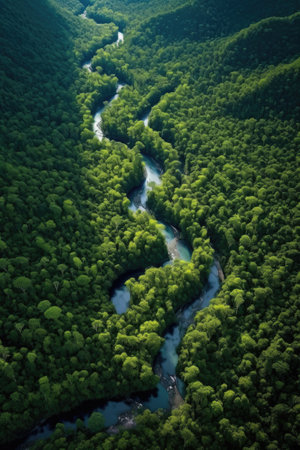 aerial view of lush green forest and winding river, created with generative aiの素材