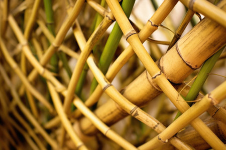 close-up of interwoven bamboo connections, created with generative aiの素材