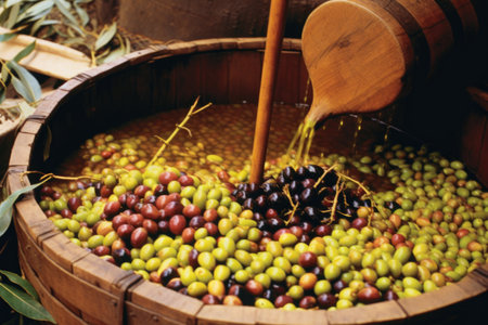 close-up of olives being pressed for oil extraction, created with generative aiの素材