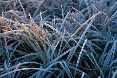 frost patterns on grass forming abstract designs, created with generative aiの素材