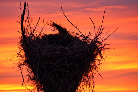 nest silhouetted against sunset or sunrise sky, created with generative aiの素材