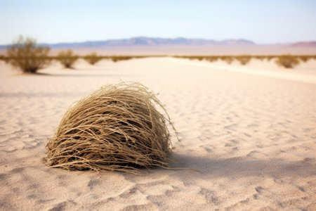 close-up of a tumbleweed rolling across desert sand, created with generative aiの素材