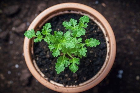high angle shot of a seedling pot with young plants growing in soil, created with generative aiの素材