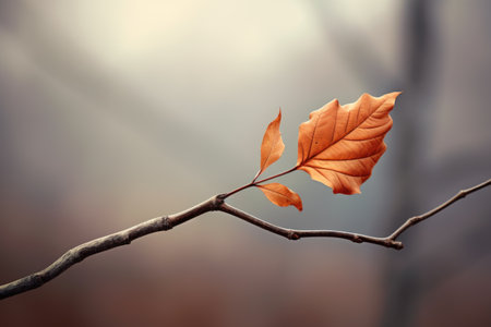 a single leaf on a nearly branch, created with generative aiの素材