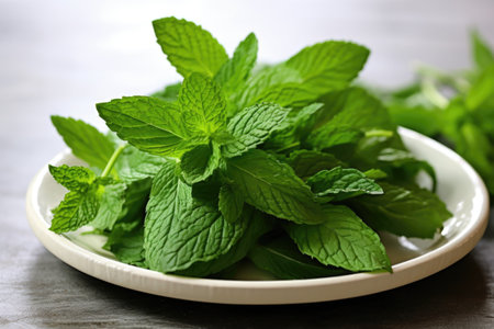 fresh mint leaves on a white ceramic plate, created with generative aiの素材