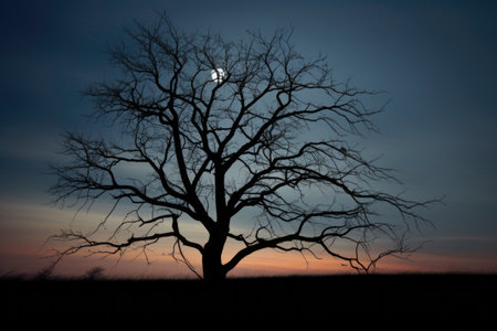 a leafless tree silhouette against a moonlit sky, created with generative aiの素材