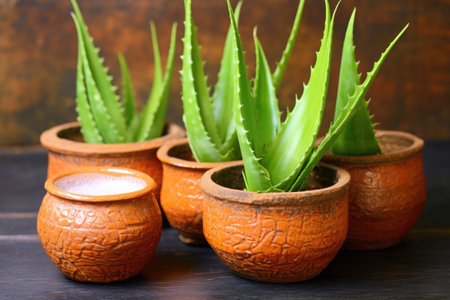 aloe vera plants natural aphrodisiacs in clay pots, created with generative aiの素材
