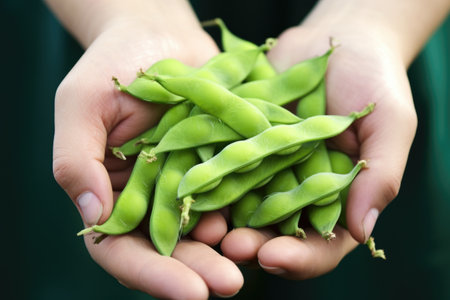 hand holding a handful of fresh edamame pods, created with generative aiの素材