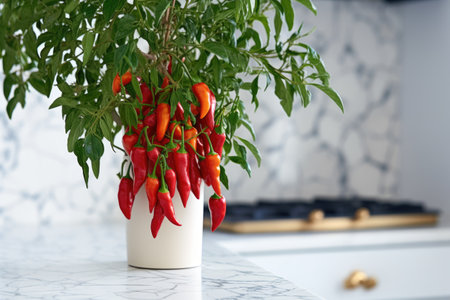 a close-up of ripe chili peppers hanging from a plant on a marble countertop, created with generative aiの素材