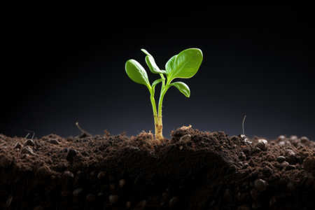 new plant growth sprouting from soil, created with generative aiの素材