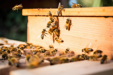 bee returning to hive with pollen, created with generative aiの素材