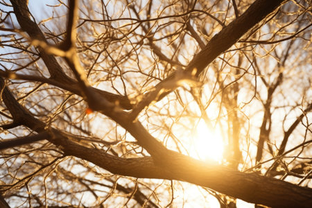 intertwining tree branches against sunlight, created with generative aiの素材