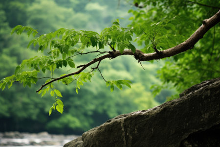 tree with a single leafy branch diverging from the rest, created with generative aiの素材