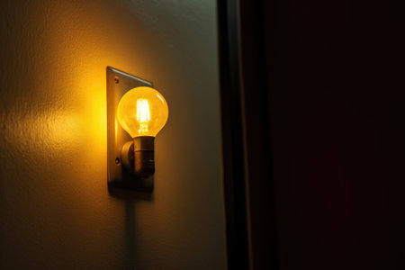 light switch in the on position but bulb is off, created with generative aiの素材