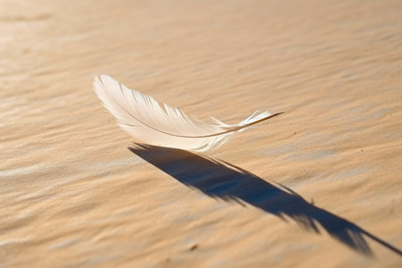 a single white feather casting a long shadow on a plain surface, created with generative aiの素材