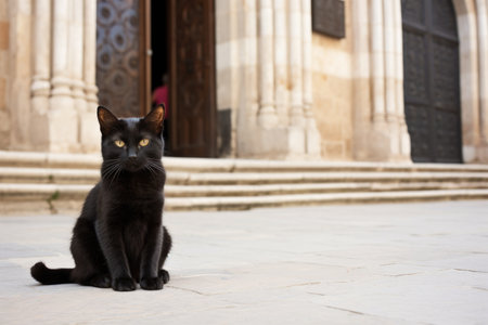 a stray black cat sitting by a church entrance, created with generative aiの素材