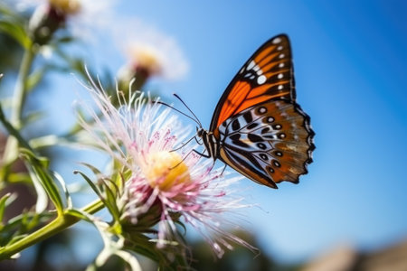 close up shot of a butterfly on a flower in summer, created with generative aiの素材