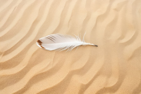 top view of a seagull feather on a sand surface, created with generative aiの素材