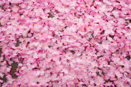 cherry blossom petals carpeting the ground, created with generative aiの素材