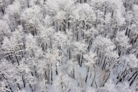 snowy forest undergrowth close-up, created with generative aiの素材