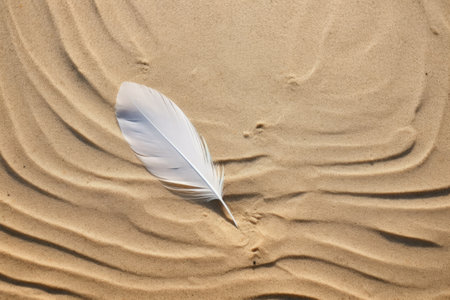 top view of a seagull feather on a sand surface, created with generative aiの素材