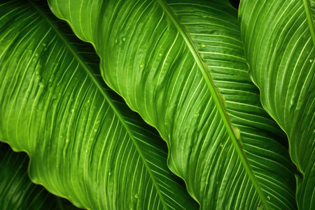 close-up shot of exotic plant leaves, created with generative aiの素材