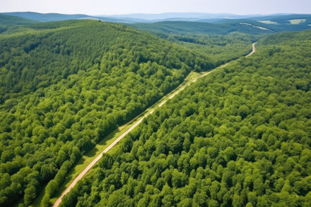aerial view of a green forested valley with a railway track, created with generative aiの素材