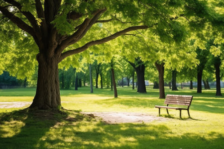 an empty wooden park bench under a shady tree, created with generative aiの素材