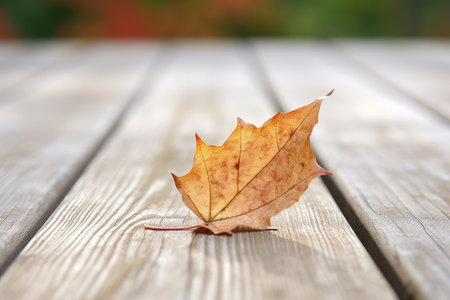 a leaf on a plain wooden deck, created with generative aiの素材