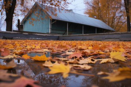 fallen autumn leaves scattered on an uncovered outdoor rink, created with generative aiの素材