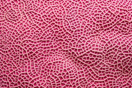 close-up of pink brain coral pattern, created with generative aiの素材