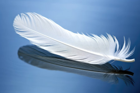 white swan feather on a glass surface reflecting its shape, created with generative aiの素材